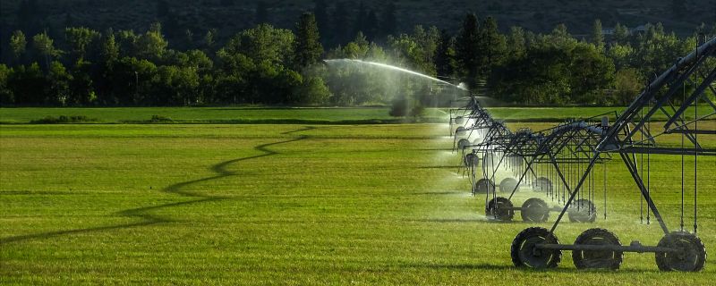 Commercial Irrigation Service in Aiken, SC