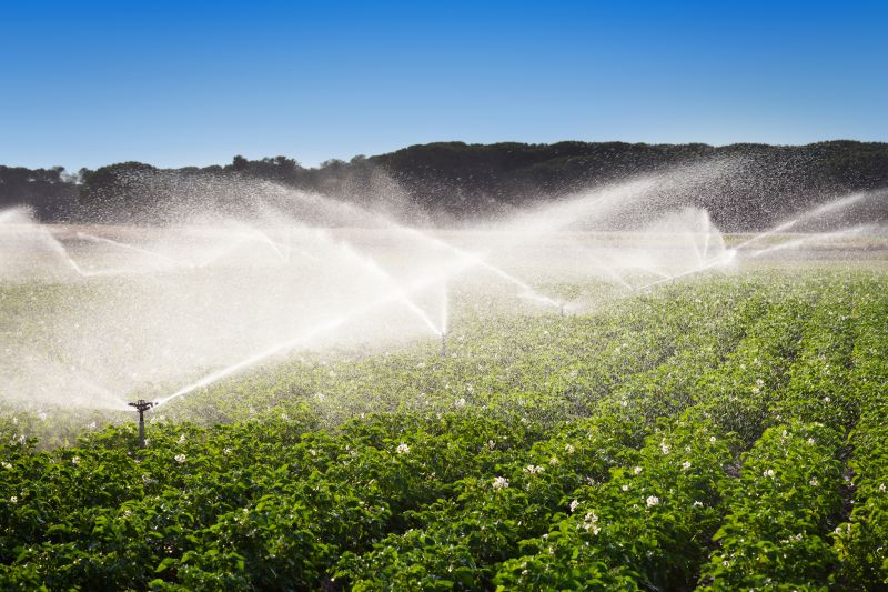 Farm Irrigation Installation in Honolulu, HI