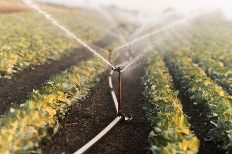 Field Irrigation Installation in Ventura County, CA