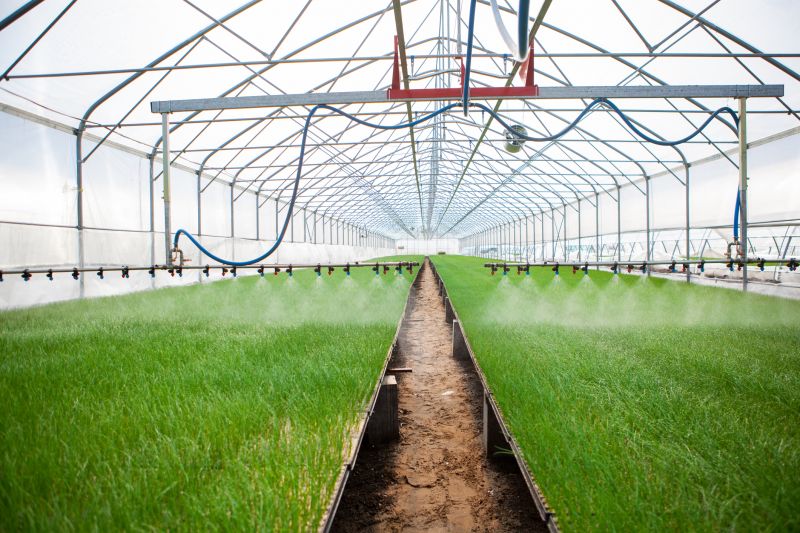 Garden Irrigation Installation in Aiken, SC