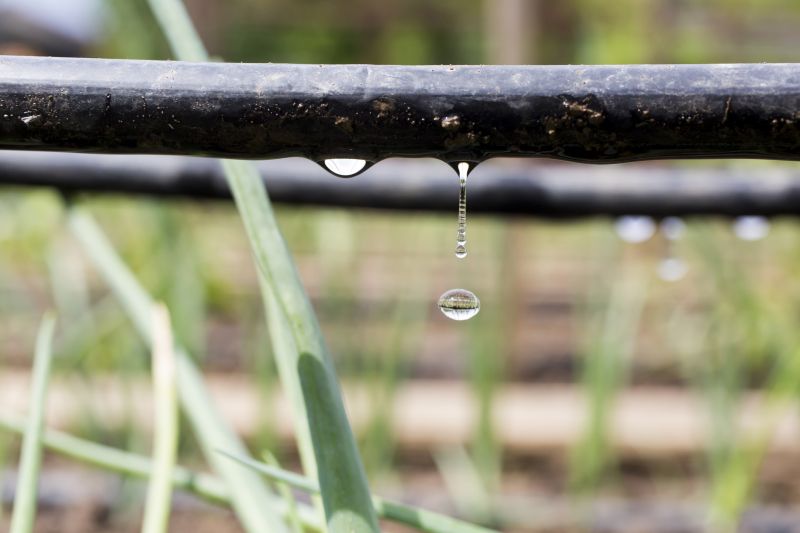 Mist Irrigation Installation in Honolulu, HI