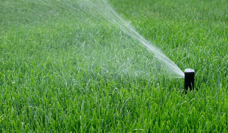 Sprinkler Head Replacement in Aiken, SC