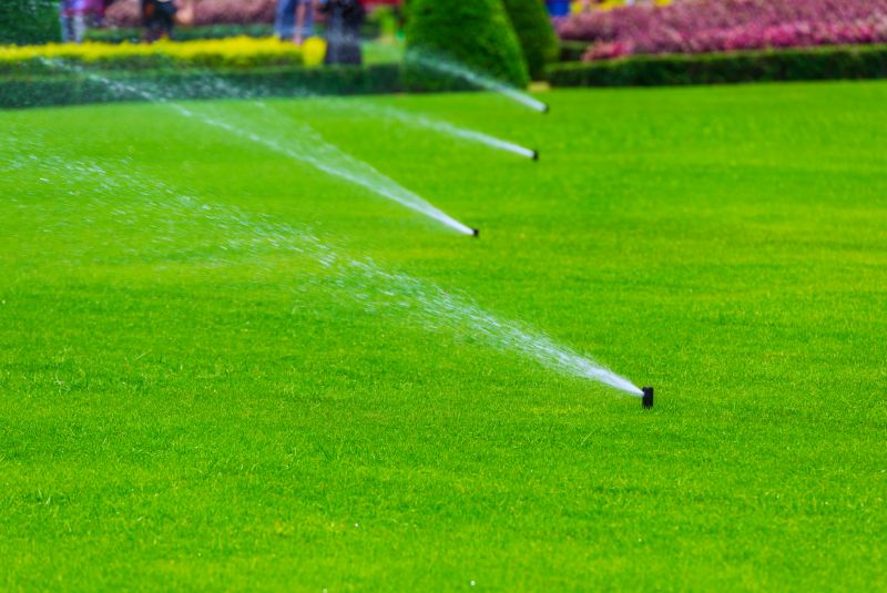 Sprinkler System Relocation in Aiken, SC