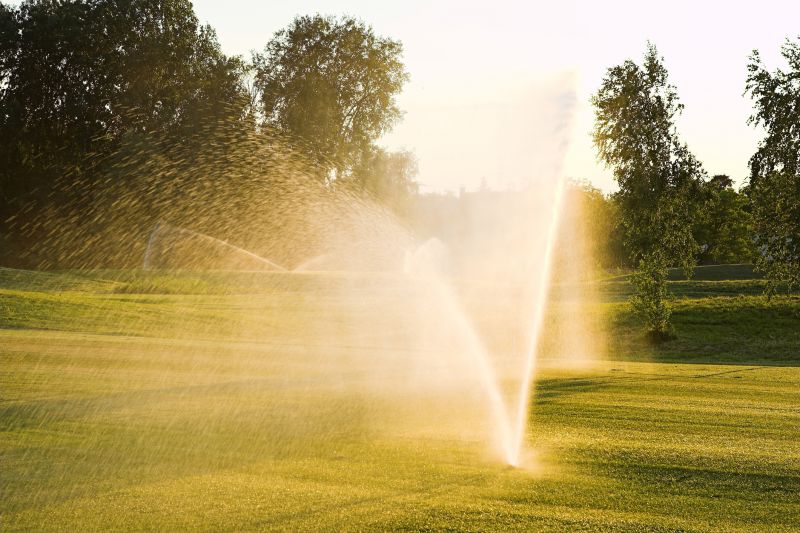 Sprinkler Winterization in Carson City, NV