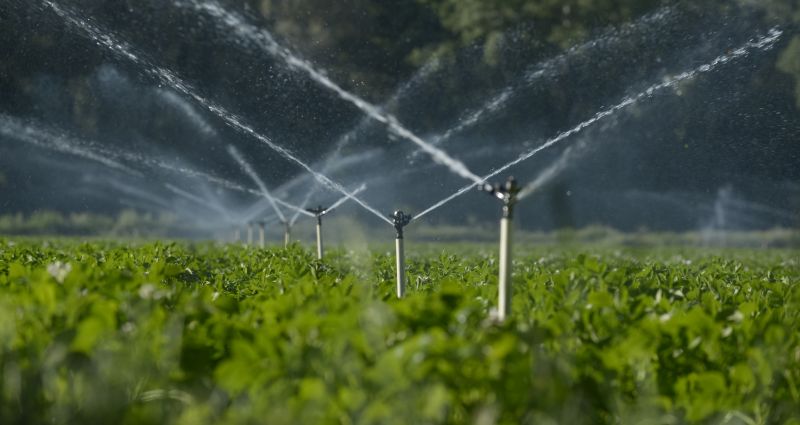 Lawn Sprinkler Installation in Aiken, SC